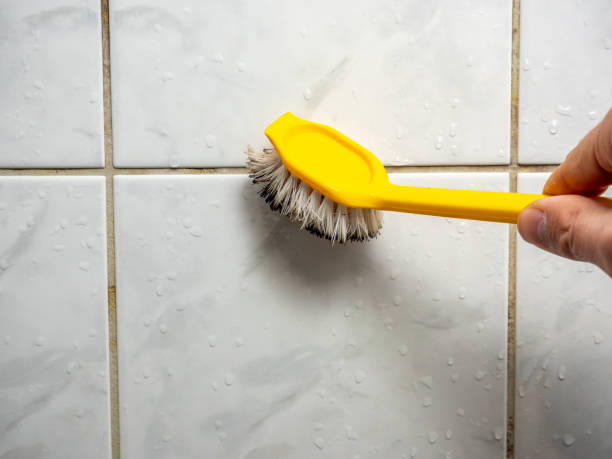 Best Mold Testing  in Cashton, WI