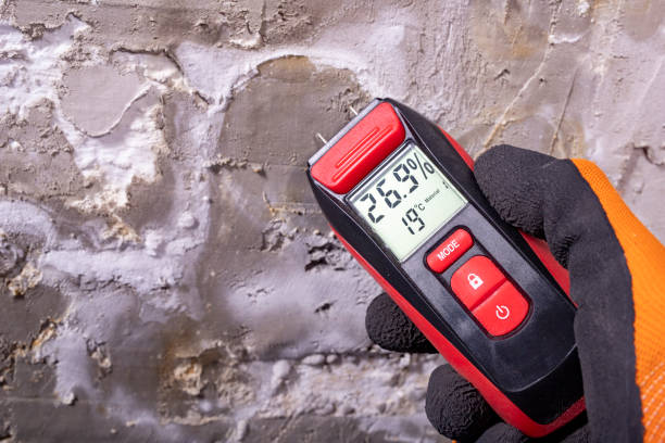 Best Attic Mold Removal  in Cashton, WI